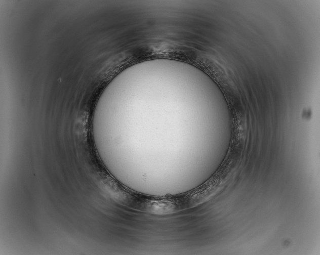 X0000100190275200806131214