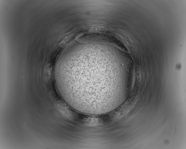 X0000100190276200806131214