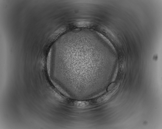 X0000100190277200806131214