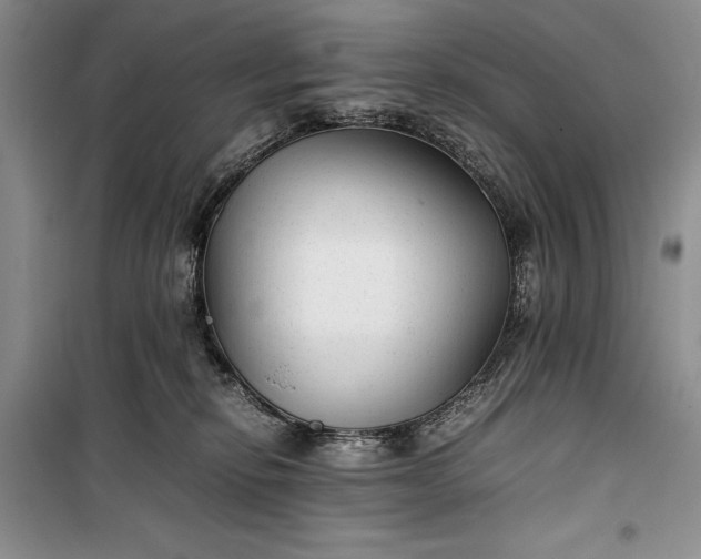 X0000100190278200806131214