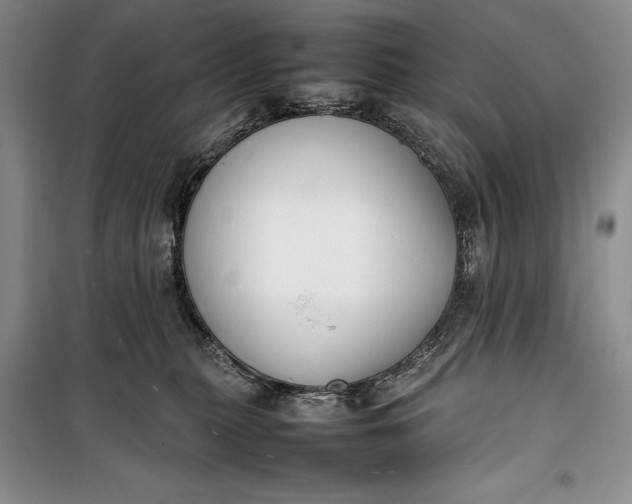 X0000100190279200806131214