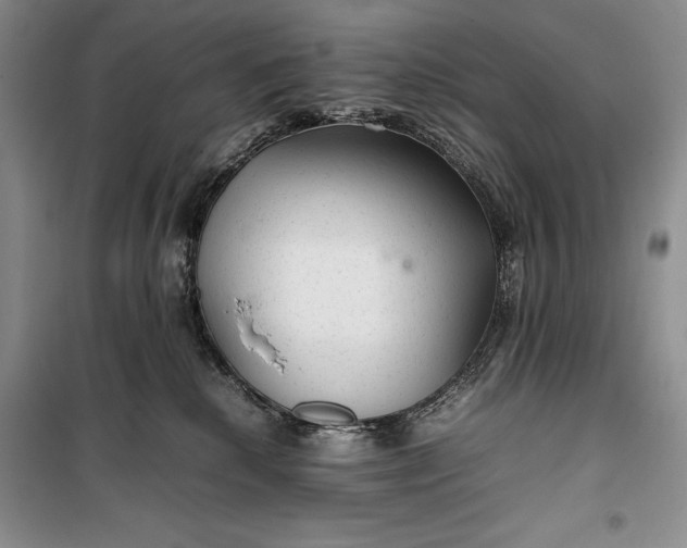 X0000100190280200806131214