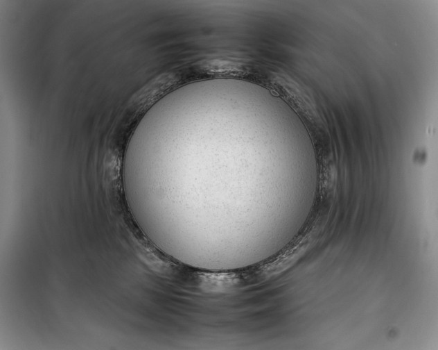 X0000100190281200806131214