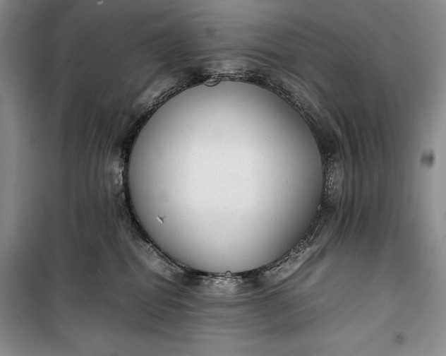 X0000100190282200806131214