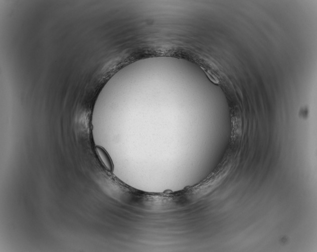 X0000100190286200806131214