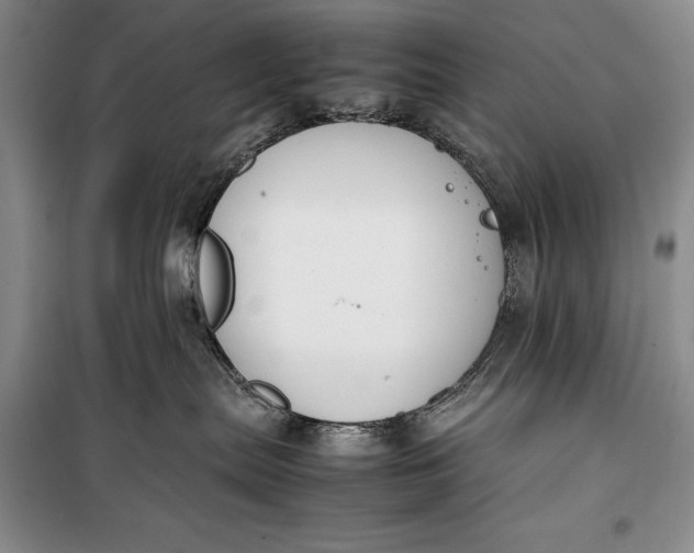 X0000100190287200806131214