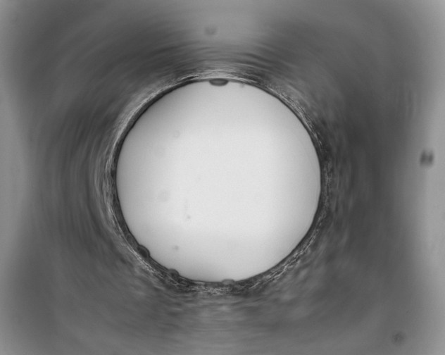 X0000100190289200806131214