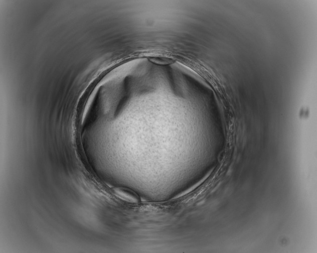 X0000100190290200806131213