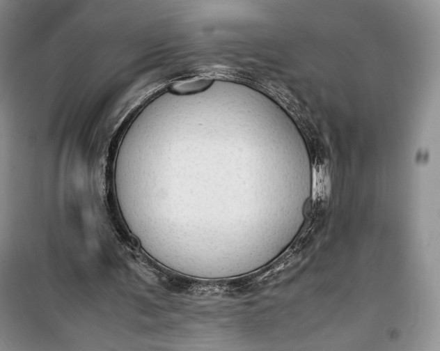 X0000100190291200806131213