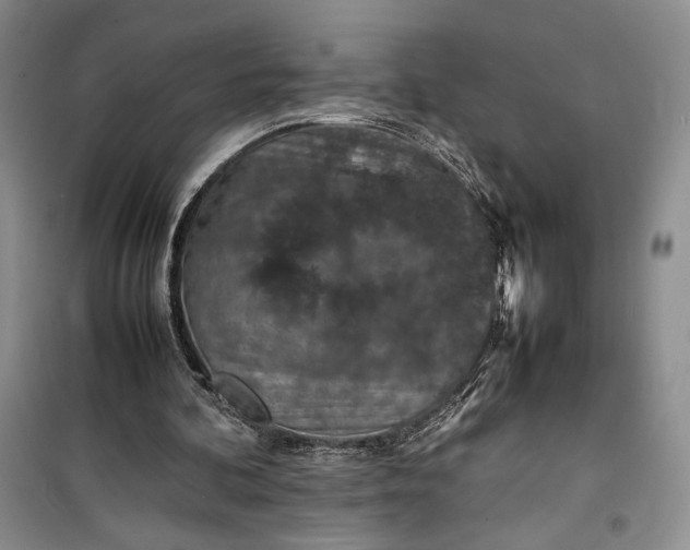 X0000100190292200806131213