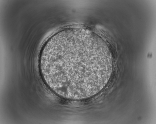 X0000100190293200806131213