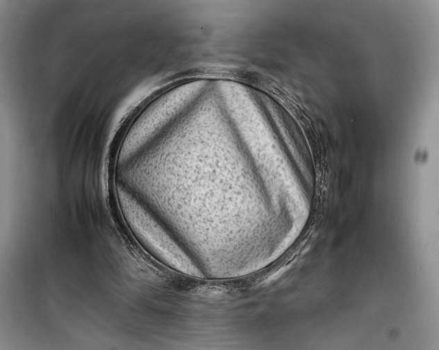 X0000100190294200806131213