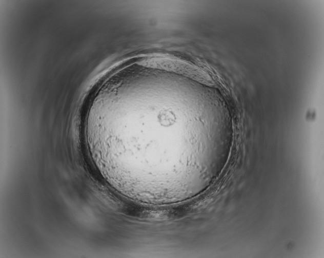 X0000100190295200806131213