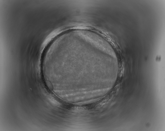 X0000100190296200806131213