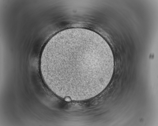 X0000100190297200806131213