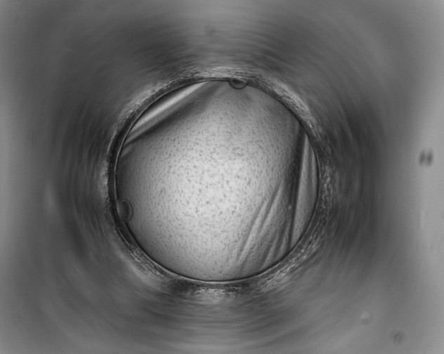 X0000100190298200806131213