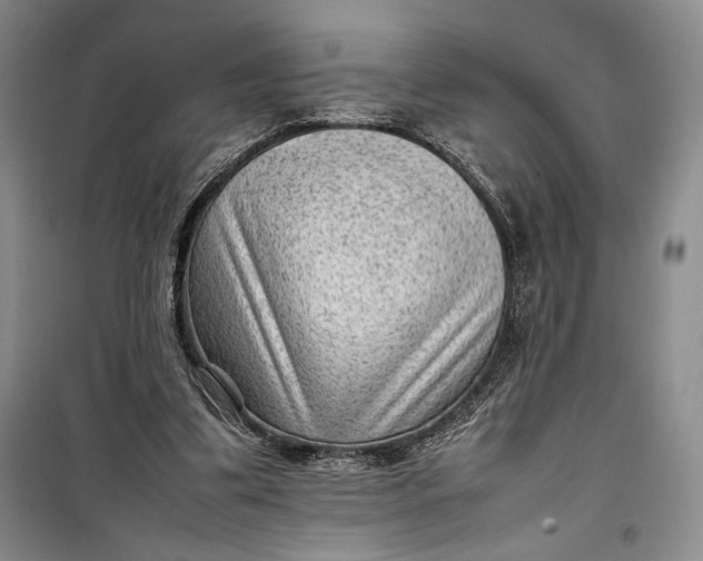 X0000100190299200806131213