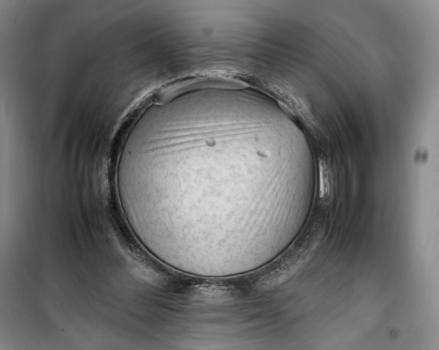 X0000100190300200806131213