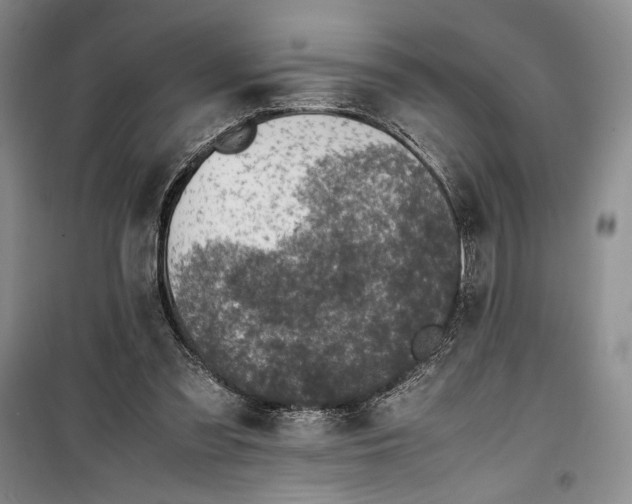 X0000100190301200806131213