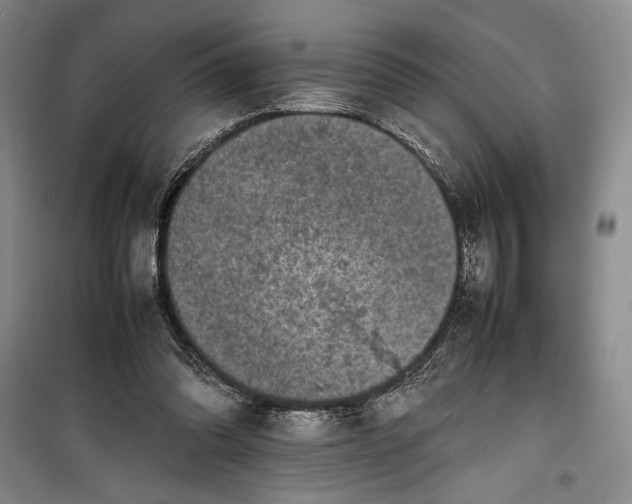 X0000100190302200806131213