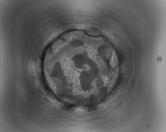 X0000100190303200806131213