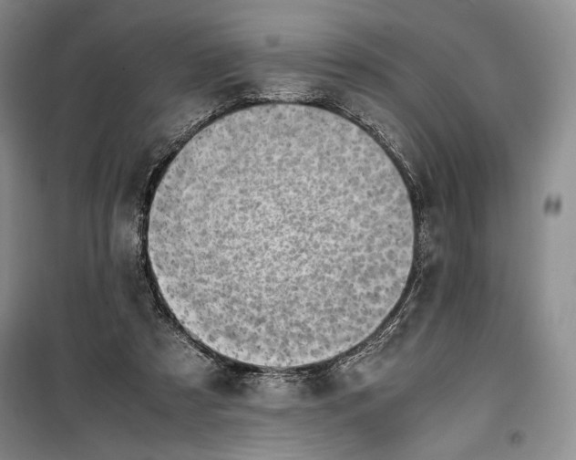 X0000100190305200806131213