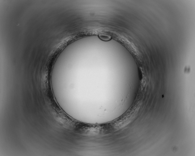 X0000100190306200806131213