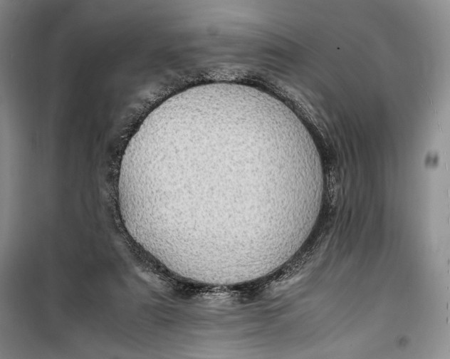 X0000100190307200806131213