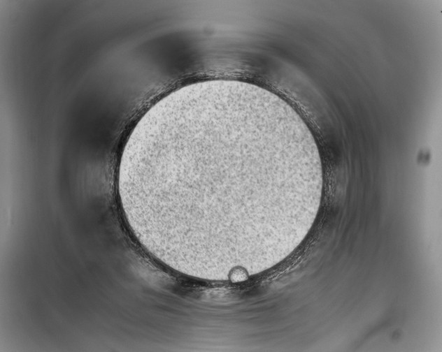 X0000100190309200806131213