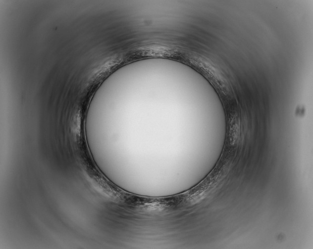 X0000100190310200806131213