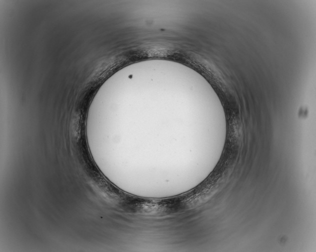 X0000100190311200806131213