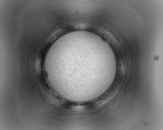 X0000100190312200806131213