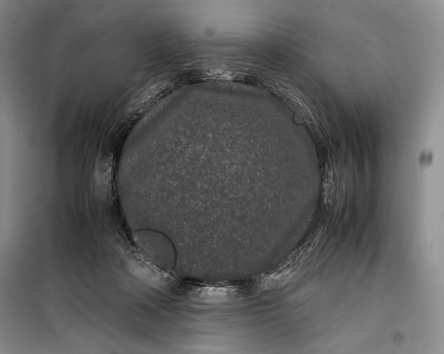 X0000100190314200806131213