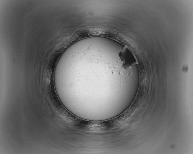 X0000100190315200806131213