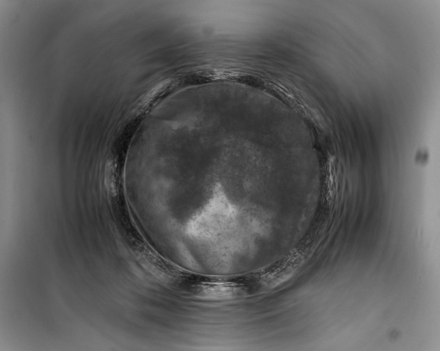 X0000100190316200806131213