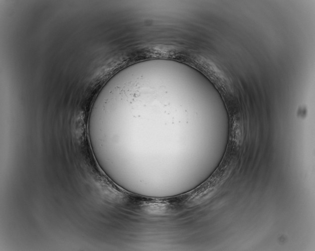 X0000100190318200806131213