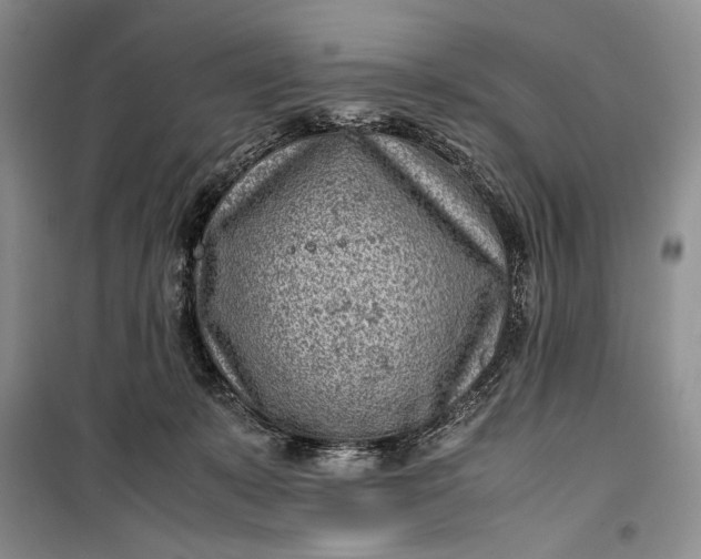 X0000100190319200806131213