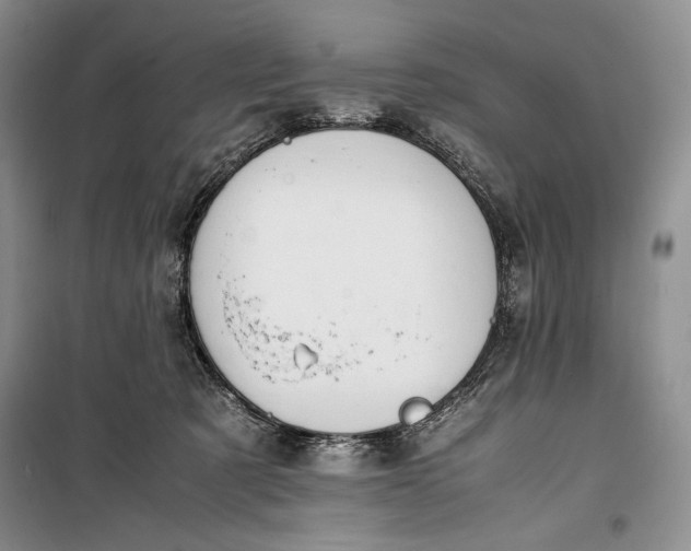 X0000100190321200806131213