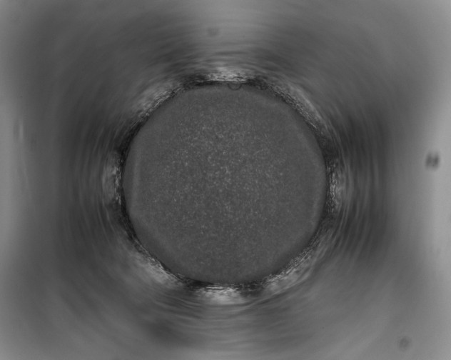 X0000100190322200806131213