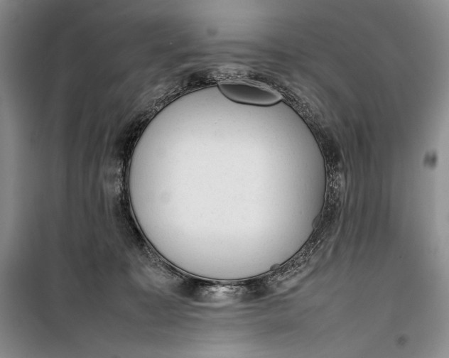 X0000100190323200806131213