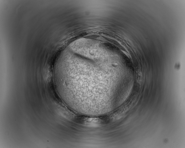 X0000100190324200806131213