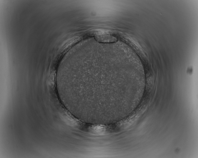 X0000100190325200806131213