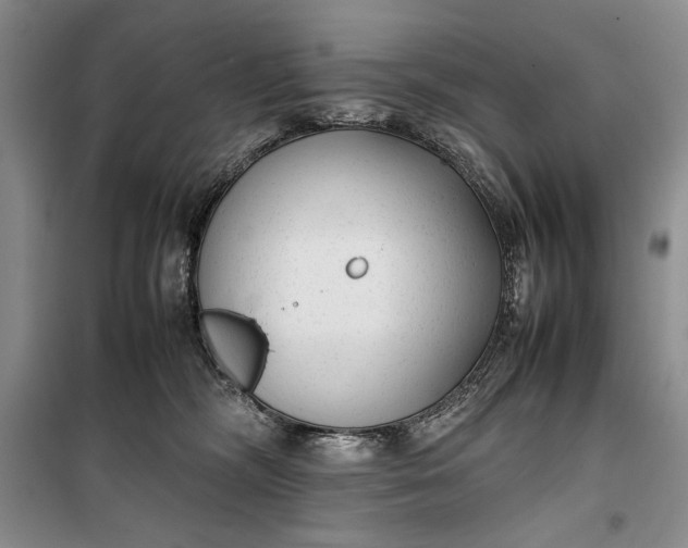 X0000100190326200806131213