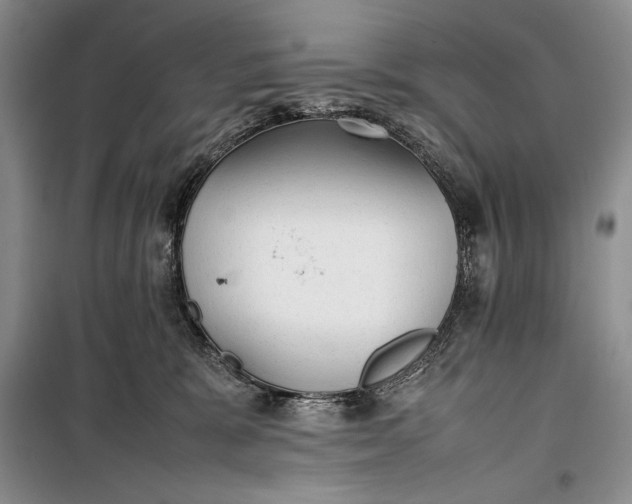 X0000100190327200806131213