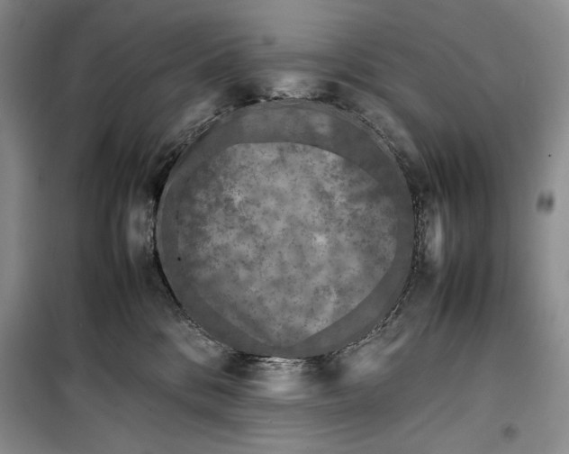 X0000100190328200806131213