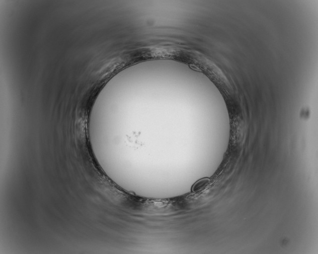 X0000100190329200806131213