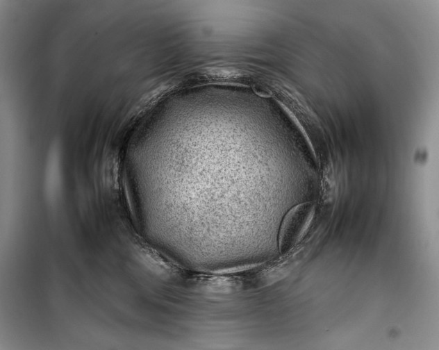 X0000100190330200806131213