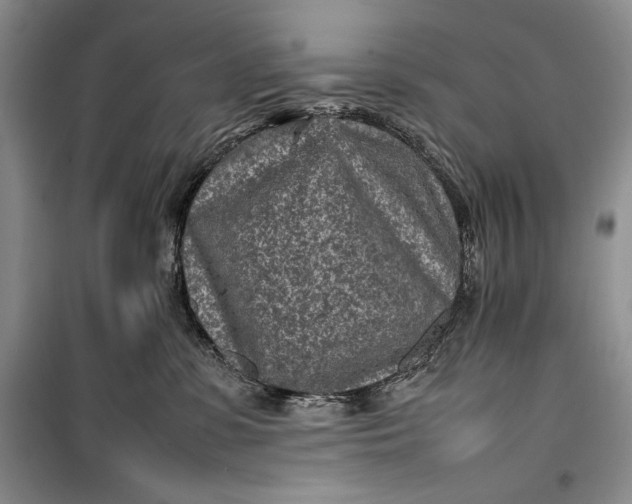 X0000100190331200806131213