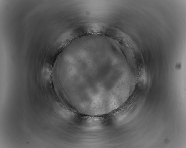 X0000100190332200806131213