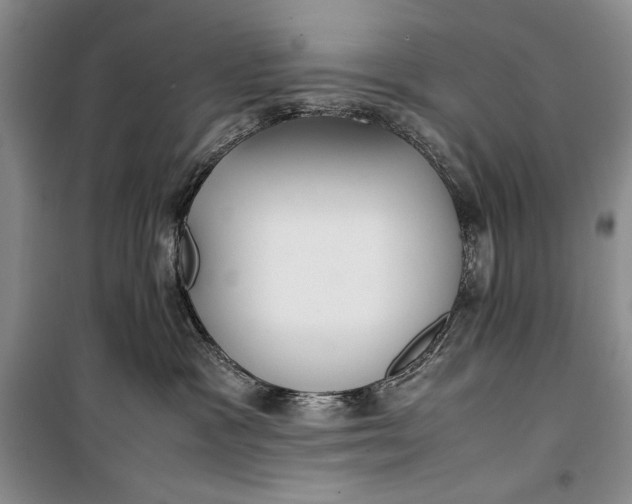 X0000100190333200806131213